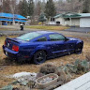 Meet your Posher, Jo